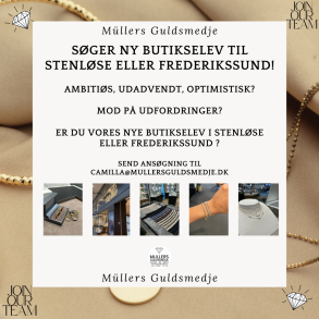 ER DU VORES NYE ELEV?