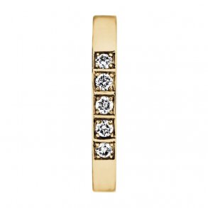 Memories ring i 14kt guld, 5x0,05ct TW/Vs