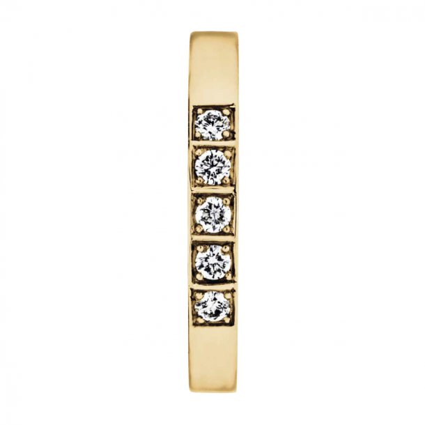 Memories ring i 14kt guld, 5x0,05ct TW/Vs