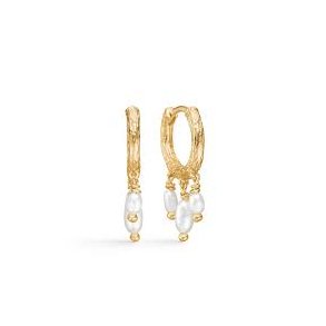 Studio Z, Twine reringe i forgyldt sterlingslv