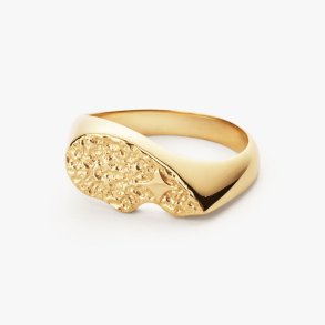 Camille Brinch textured BFF sparkly ring - forgyldt slv