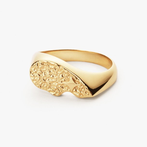 Camille Brinch textured BFF sparkly ring - forgyldt slv